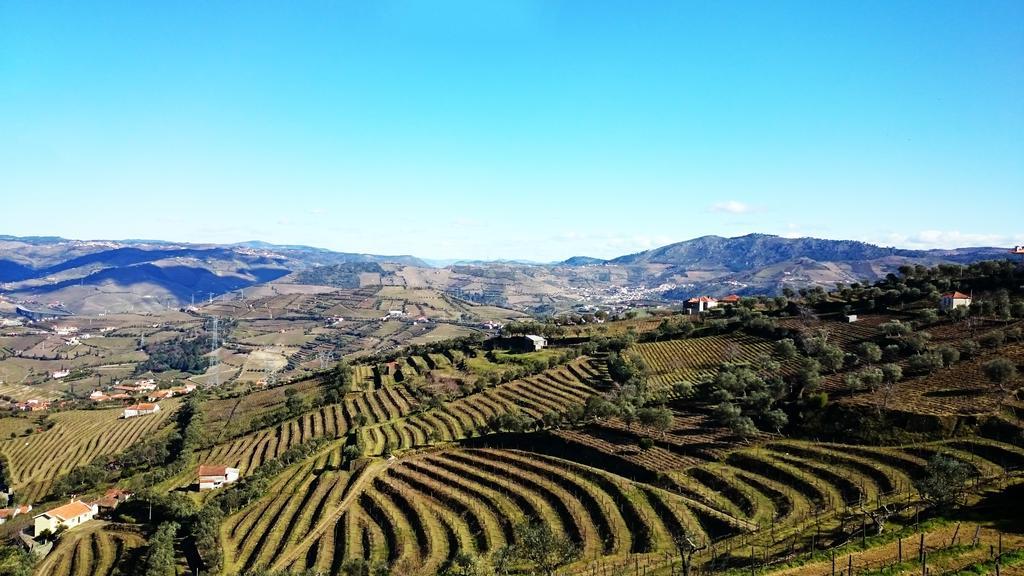 Casa Quinta Da Adega Do Chao - Vale Do Douro * Lamego