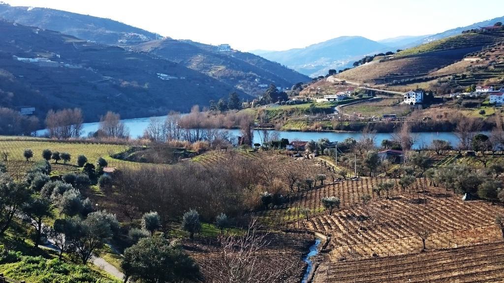 Casa Quinta Da Adega Do Chao - Vale Do Douro Dom wakacyjny *