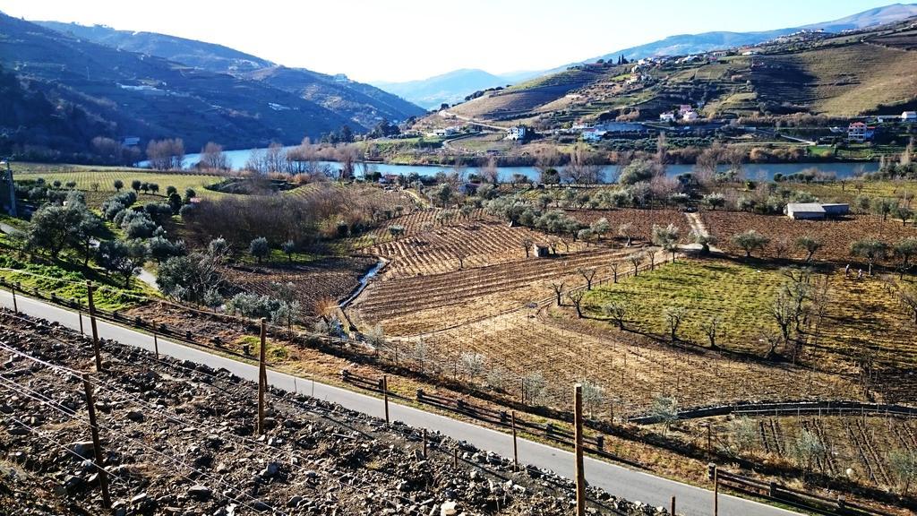 Dom wakacyjny Casa Quinta Da Adega Do Chao - Vale Do Douro *