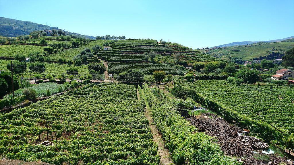 Dom wakacyjny Casa Quinta Da Adega Do Chao - Vale Do Douro
